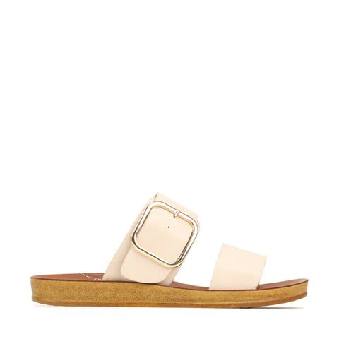 Doti Slide