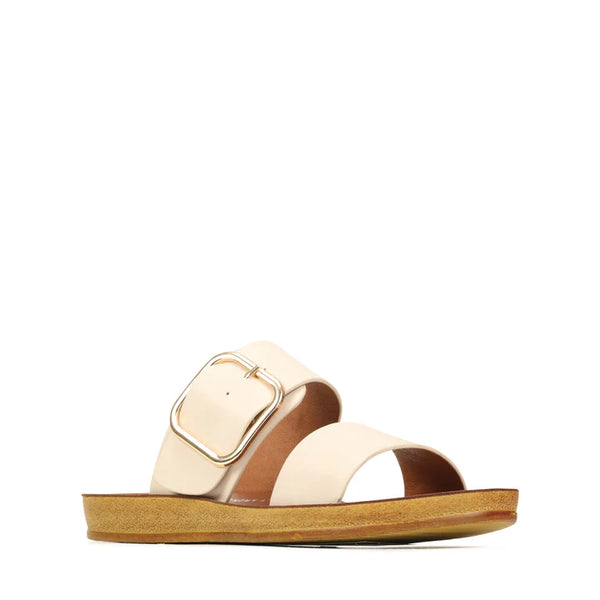 Doti Slide