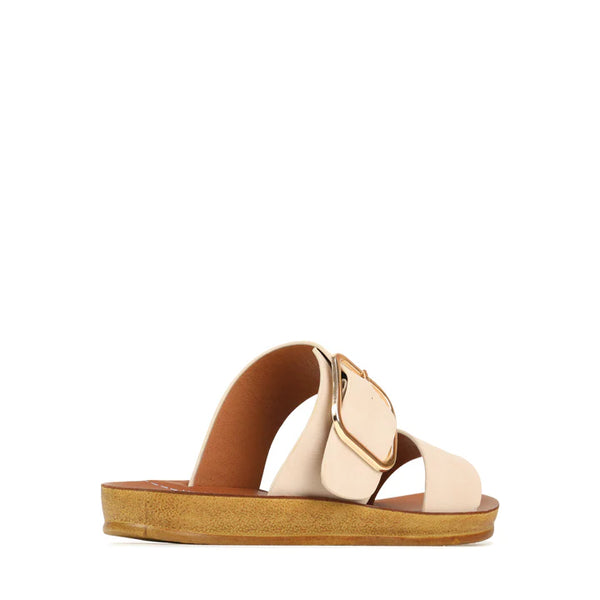 Doti Slide