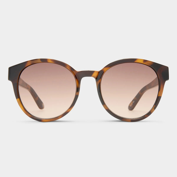 Le Specs Paramount